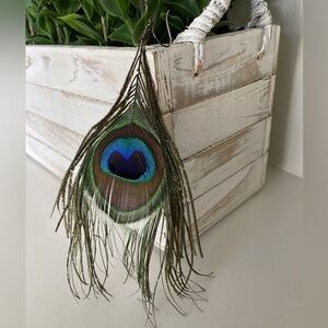 Peacock Feather Earring Blue & Green Approximately 5” Long ONLY ONE EARRING